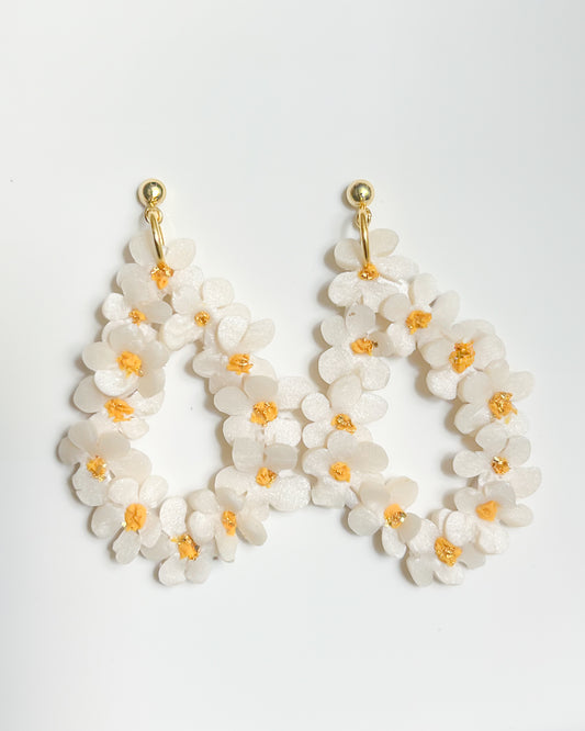 Dainty Daisy